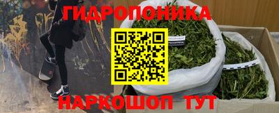 Альфа ПВП Краснознаменск