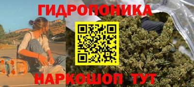 Альфа ПВП Краснознаменск